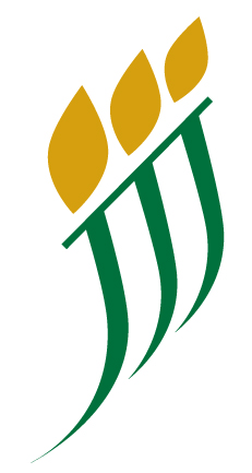 Logo St-Anaclet-de-Lessard
